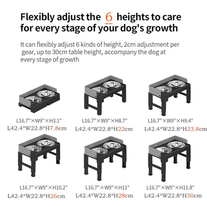 Elevated Stainless Steel Dog Double Bowls with Mess Proof High Wall
