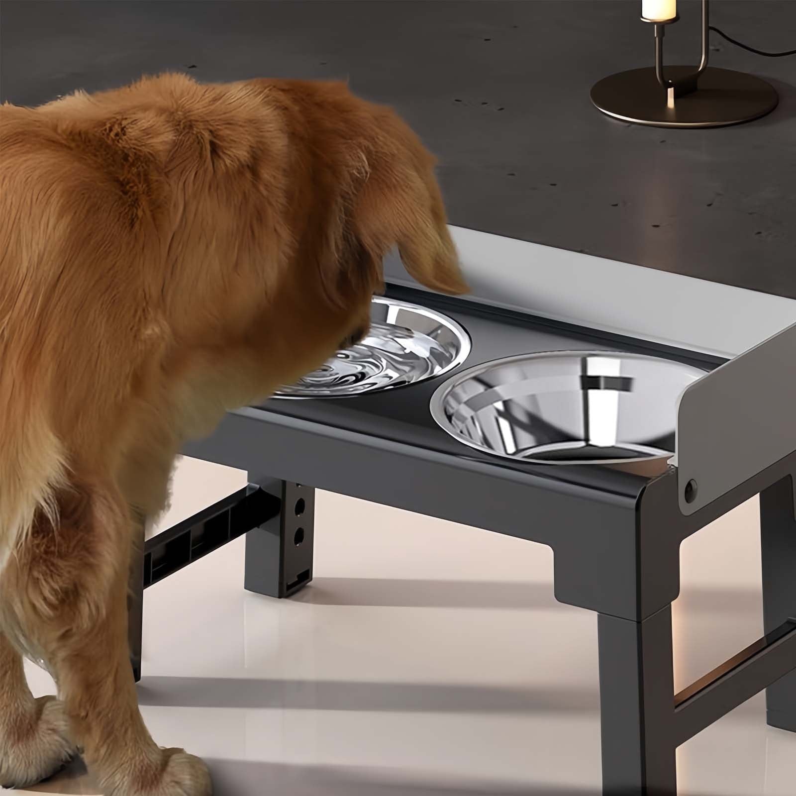 Elevated Stainless Steel Dog Double Bowls with Mess Proof High Wall